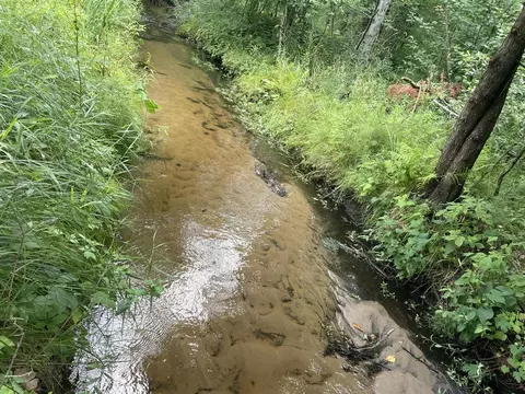 View/Area - 8142 E Baseline, White Cloud, MI 49349 photo 2 of 5