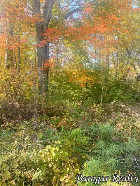 9035 N 23, Bitely, MI 49309