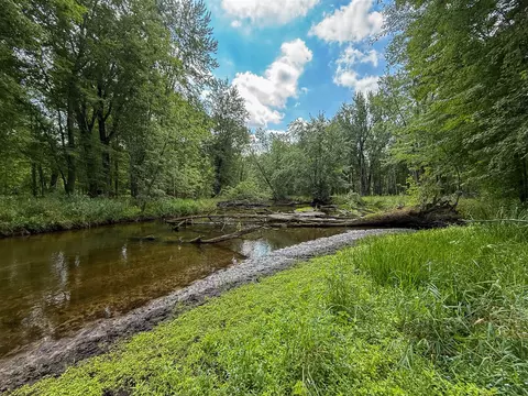 54 8 Stakes, Gowen, MI 49326