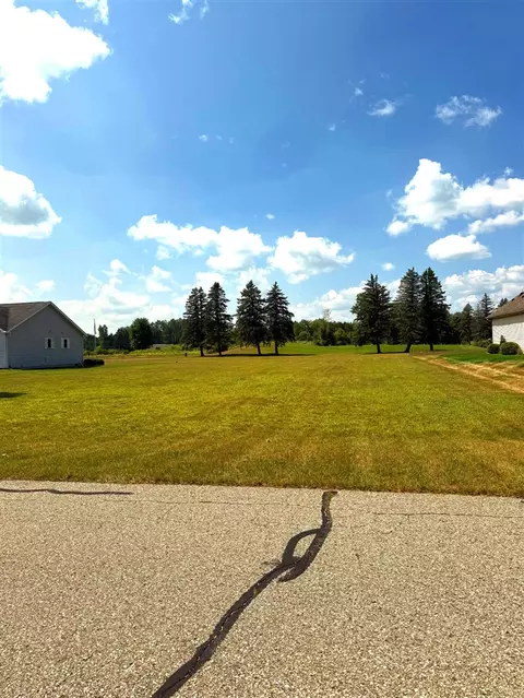 7533 Ryans Run, Canadian Lakes, MI 49346