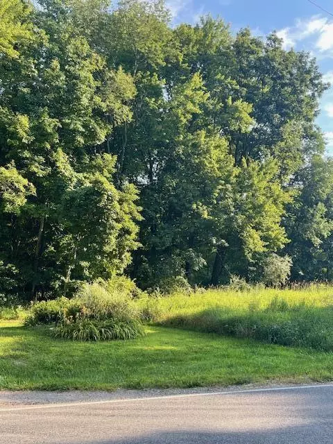lot Mullen, Delton, MI 49046