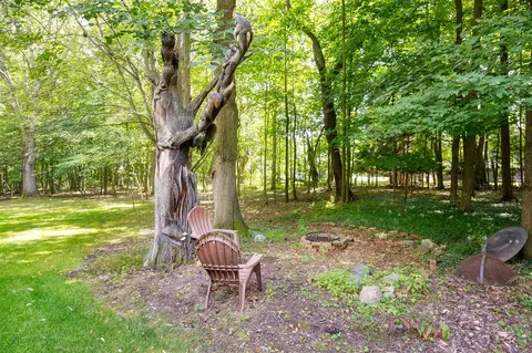 Exterior - 264 Ruby, Williamston, MI 48895 photo 18 of 19