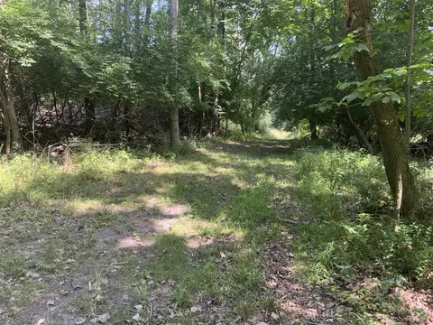 Exterior - 4350 Bailey, Jackson, MI 49201 photo 12 of 19