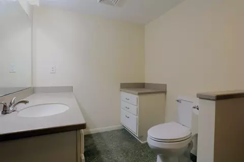 12 S Occidental, Tecumseh, MI 49286 photo 28