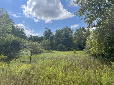 V/l 3rd St, Edmore, MI 48829