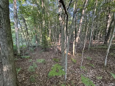 Whitney, Beaverton, MI 48612 photo 87