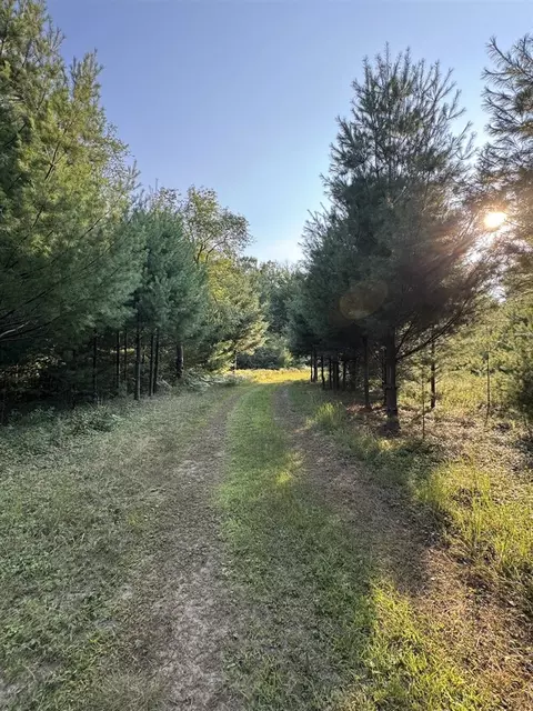 Whitney, Beaverton, MI 48612 photo 3