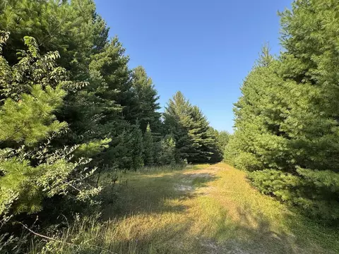 Whitney, Beaverton, MI 48612 photo 84