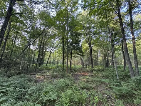 Whitney, Beaverton, MI 48612 photo 47