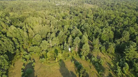 Whitney, Beaverton, MI 48612 photo 33