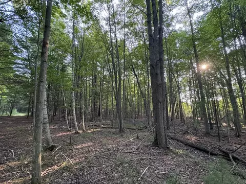 Whitney, Beaverton, MI 48612 photo 92