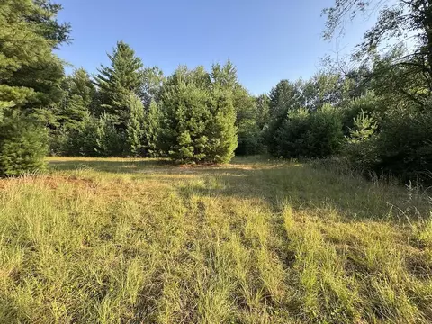 Whitney, Beaverton, MI 48612 photo 83