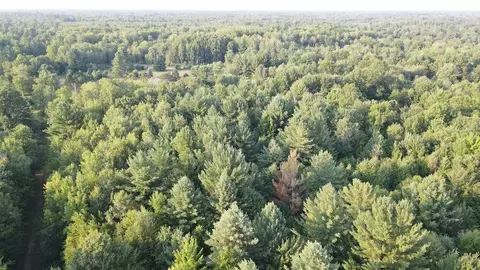 Whitney, Beaverton, MI 48612 photo 39