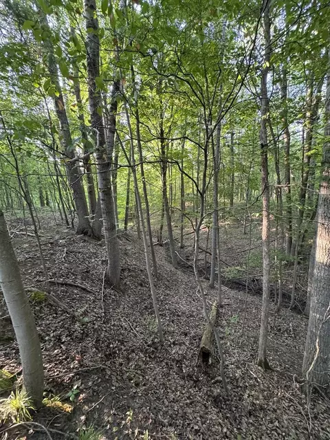 Whitney, Beaverton, MI 48612 photo 68