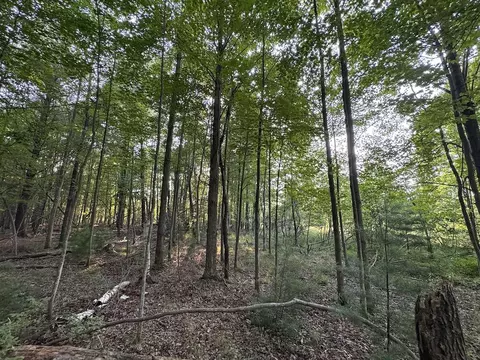 Whitney, Beaverton, MI 48612 photo 89