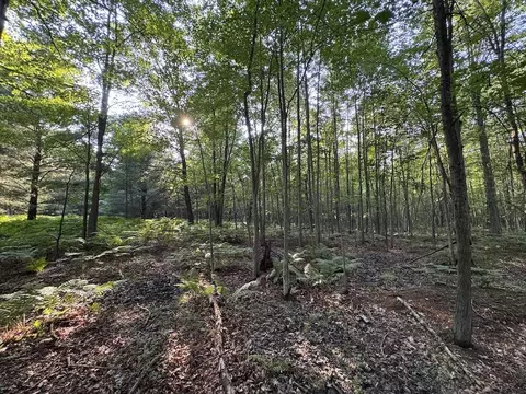 Whitney, Beaverton, MI 48612 photo 11