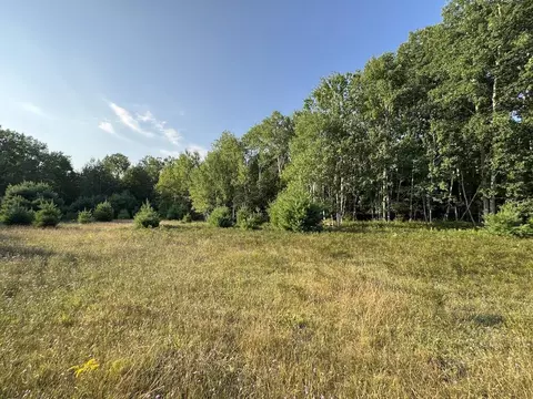 Whitney, Beaverton, MI 48612 photo 4