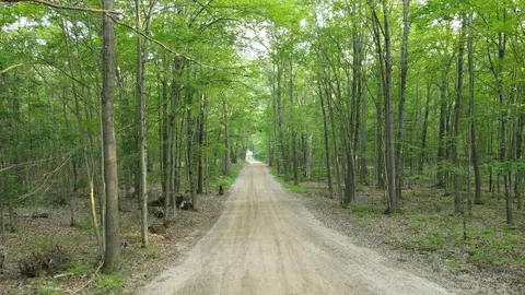 Whitney, Beaverton, MI 48612 photo 14