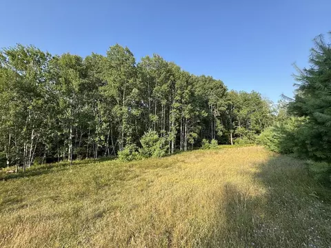 Whitney, Beaverton, MI 48612 photo 21
