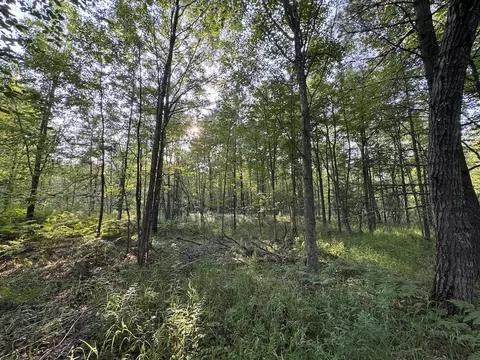 Whitney, Beaverton, MI 48612 photo 53