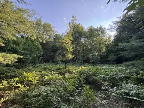 Whitney, Beaverton, MI 48612 photo 42