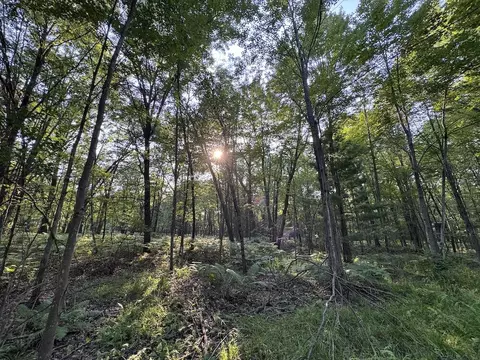 Whitney, Beaverton, MI 48612 photo 20