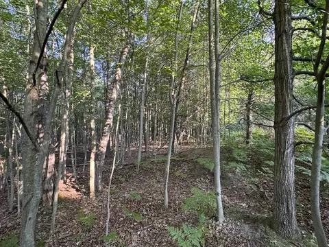 Whitney, Beaverton, MI 48612 photo 86