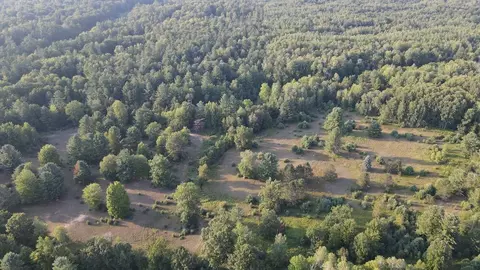 Whitney, Beaverton, MI 48612 photo 15