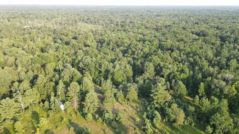 Whitney, Beaverton, MI 48612 photo 34