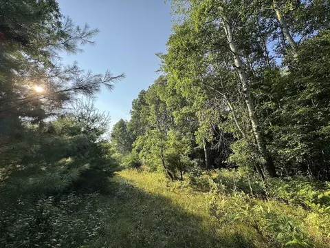 Whitney, Beaverton, MI 48612 photo 6