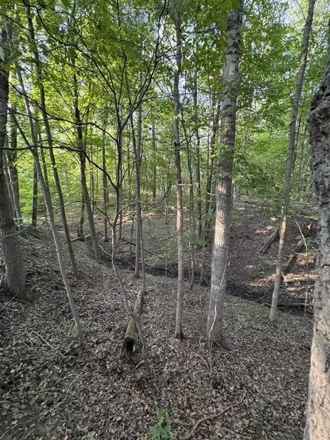 Whitney, Beaverton, MI 48612 photo 70
