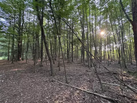 Whitney, Beaverton, MI 48612 photo 95