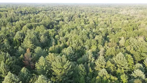 Whitney, Beaverton, MI 48612 photo 38