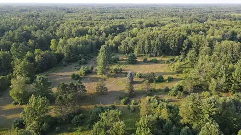 Whitney, Beaverton, MI 48612 photo 16