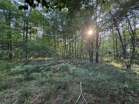 Whitney, Beaverton, MI 48612 photo 7