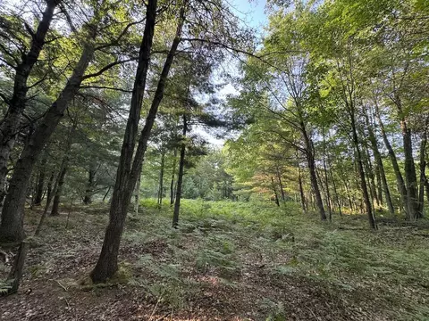 Whitney, Beaverton, MI 48612 photo 59