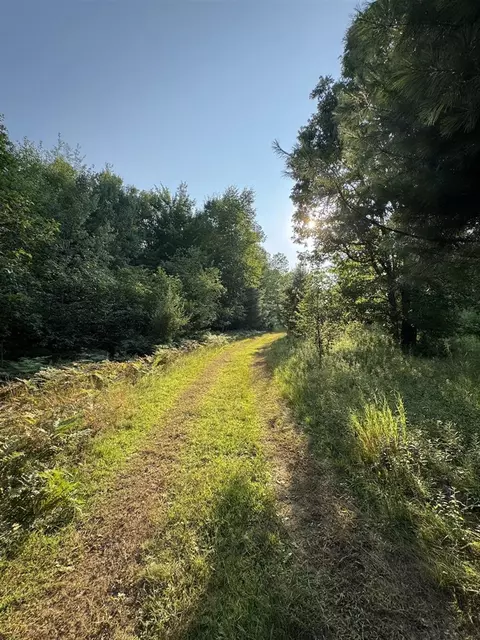 Whitney, Beaverton, MI 48612 photo 88