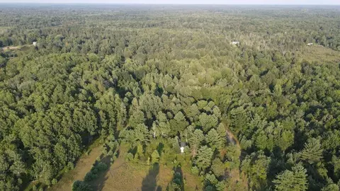 Whitney, Beaverton, MI 48612 photo 28