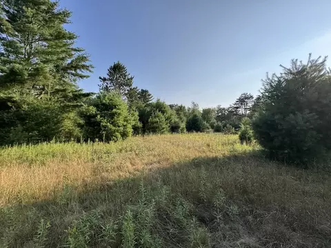 Whitney, Beaverton, MI 48612 photo 79