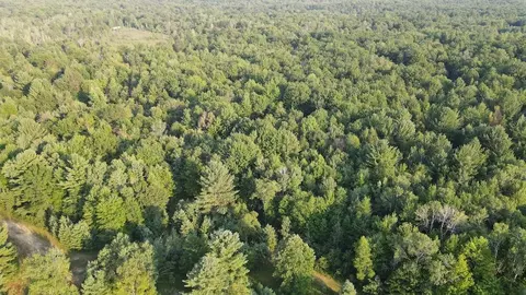 Whitney, Beaverton, MI 48612 photo 37