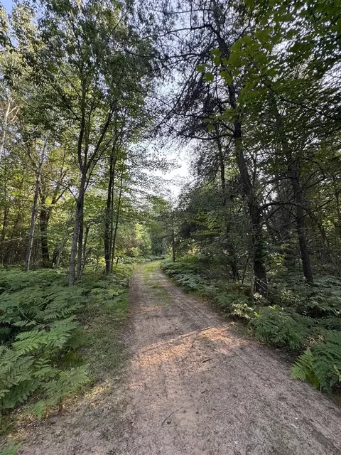 Whitney, Beaverton, MI 48612 photo 62