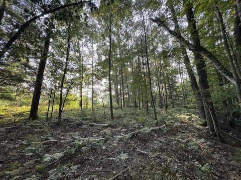 Whitney, Beaverton, MI 48612 photo 67