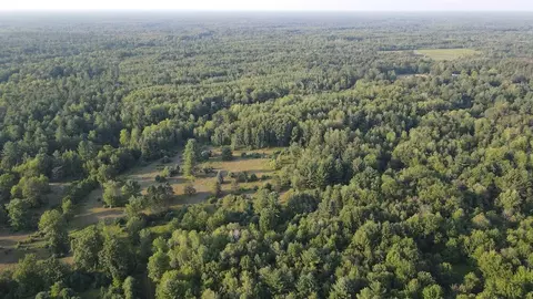 Whitney, Beaverton, MI 48612 photo 26