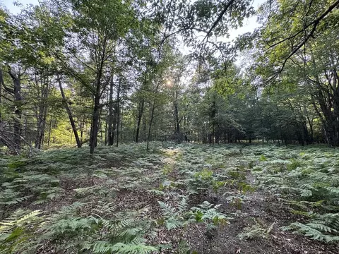 Whitney, Beaverton, MI 48612 photo 55