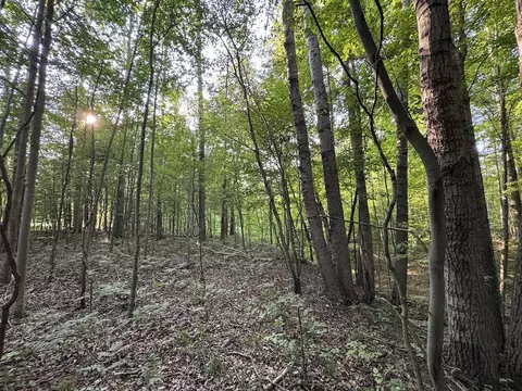 Whitney, Beaverton, MI 48612 photo 5