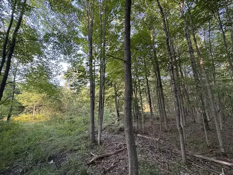 Whitney, Beaverton, MI 48612 photo 90