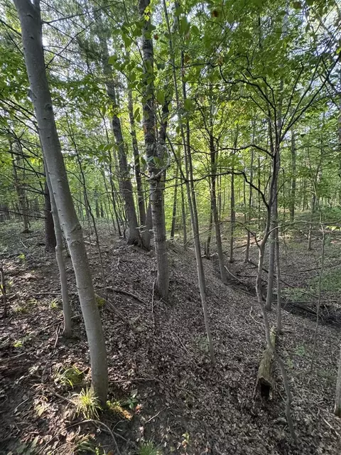 Whitney, Beaverton, MI 48612 photo 69