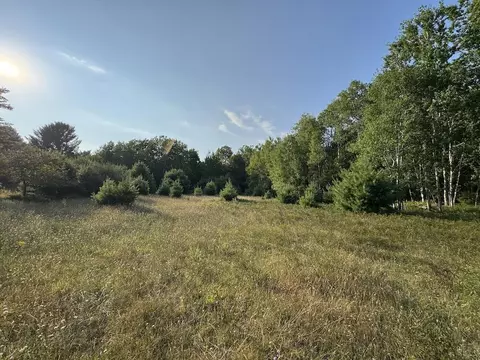 Whitney, Beaverton, MI 48612 photo 75
