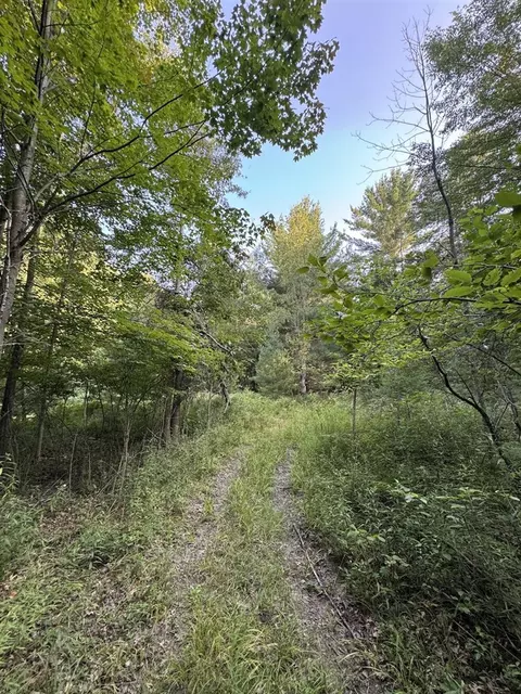 Whitney, Beaverton, MI 48612 photo 60