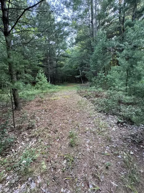 Whitney, Beaverton, MI 48612 photo 96